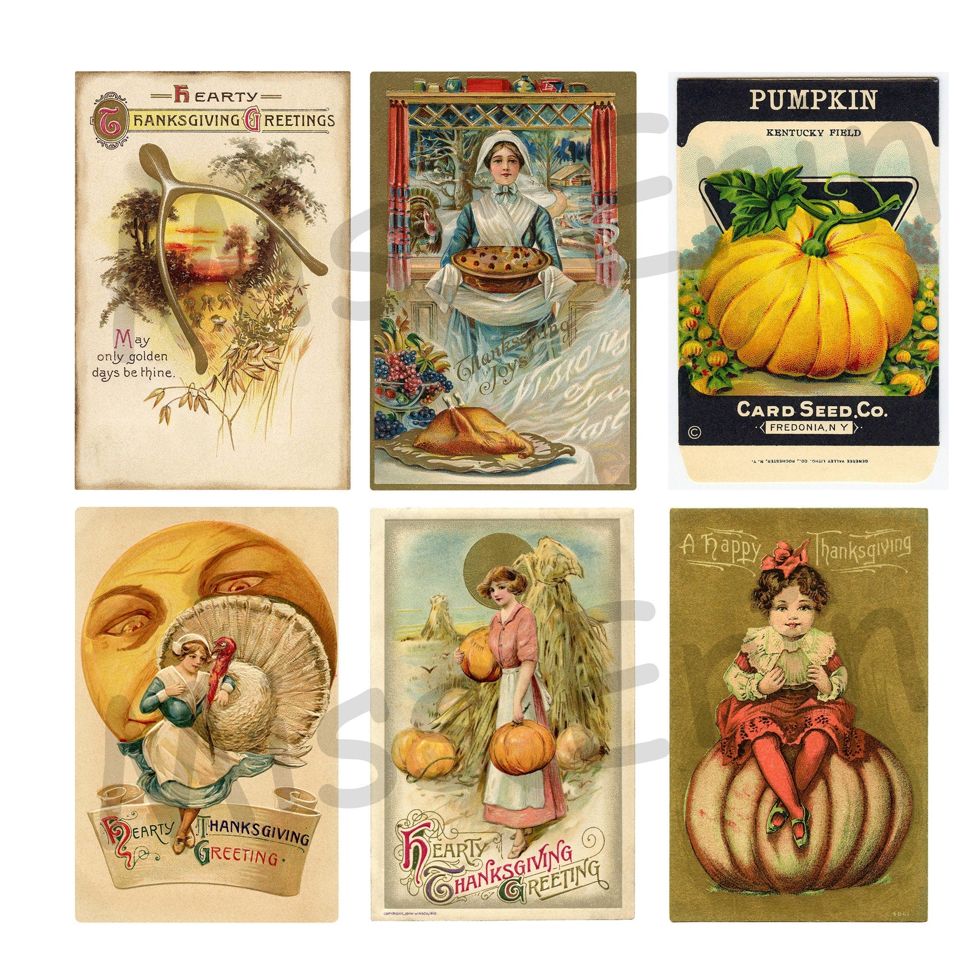 24 Vintage Thanksgiving Postcards Digital Download