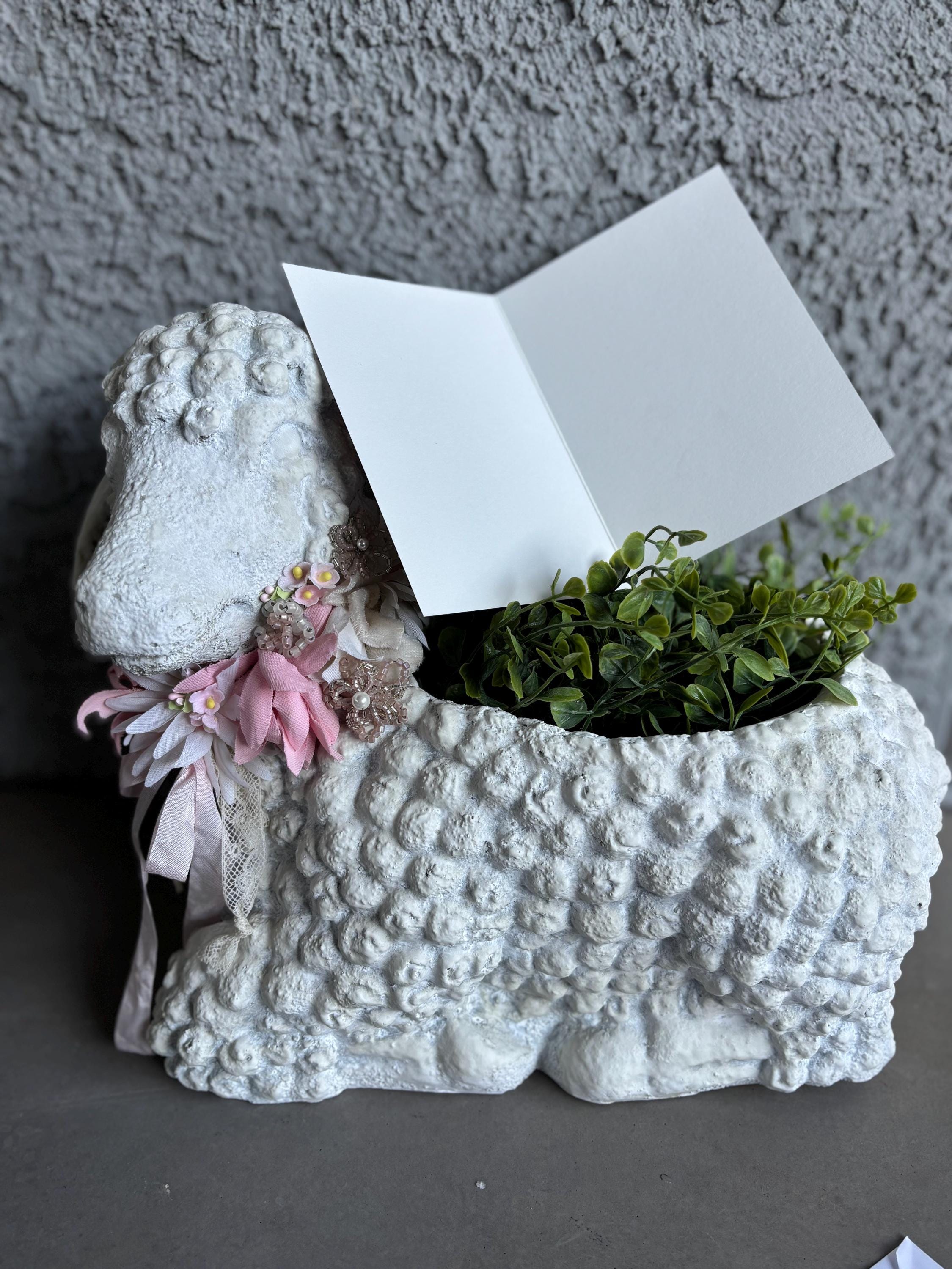 Kitten Love Valentine's Day Card