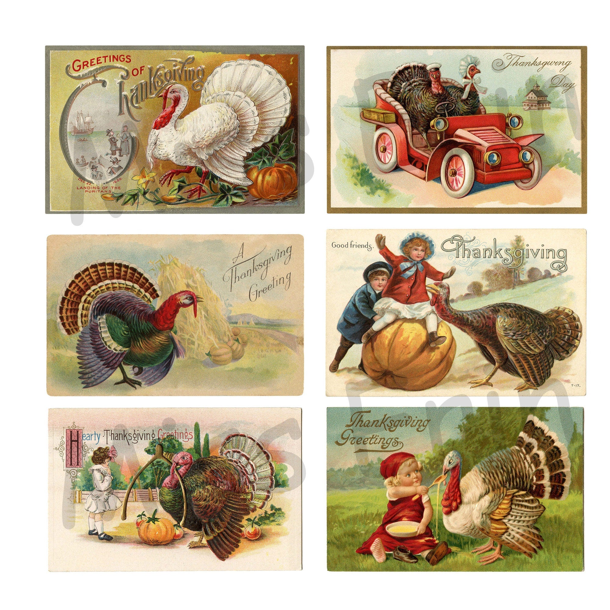 24 Vintage Thanksgiving Postcards Digital Download